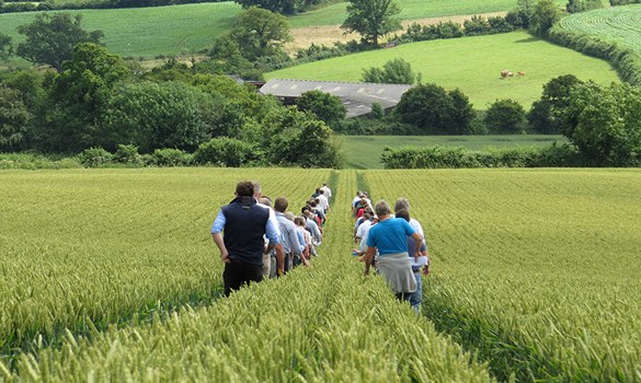 a group of people walking through a field